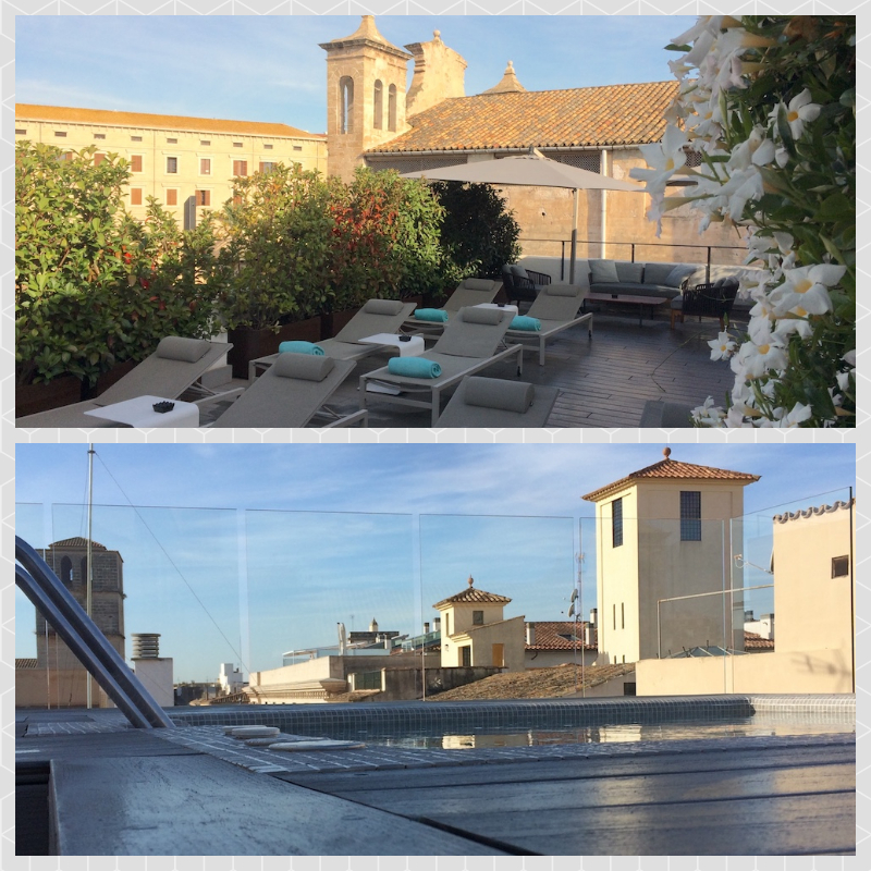 Sant Jaume Rooftop Collage